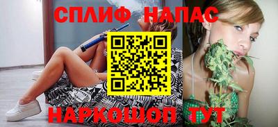 стаф Вязники
