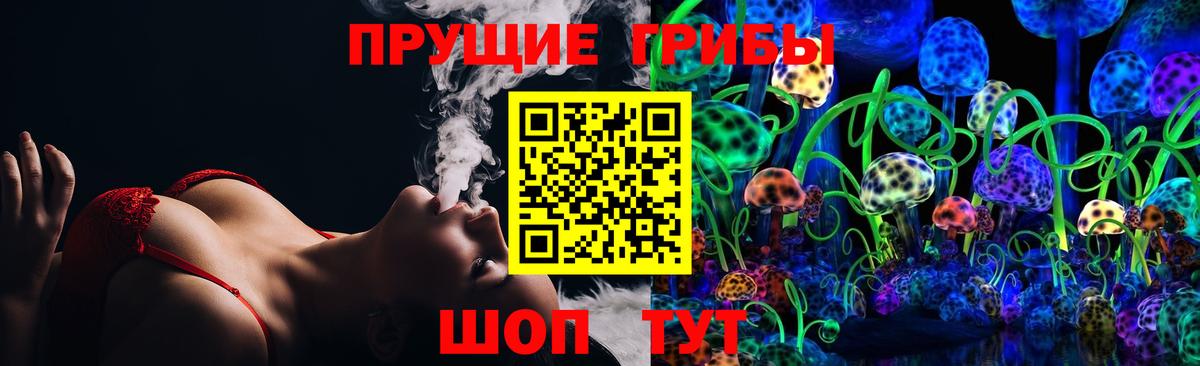 Видное  Галлюциногенные грибы Magic Shrooms  Вход с VPN  Галлюциногенные грибы мухоморы 